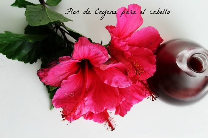 flor de Cayena para el cabello - DailyCurlz